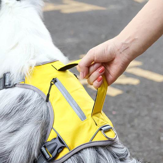 Pet Supplies Voyager Step-in Air Dog Harness All Weather Mesh Reflective No Pull Harness for Small Medium Dogs Cats Secure